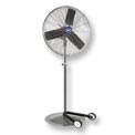 Pedestal Fans